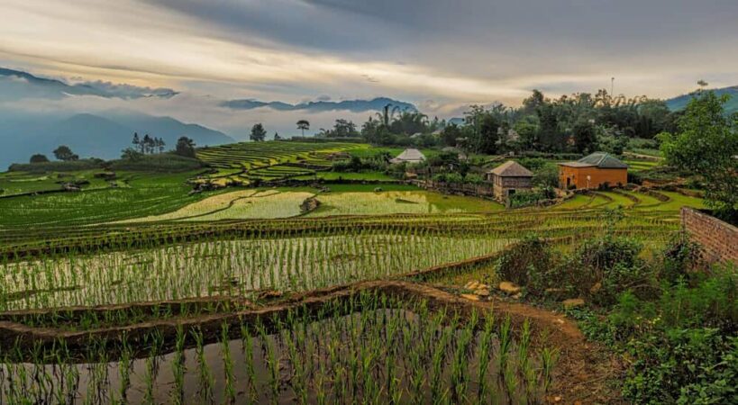 Rizières en terrasses verdoyantes dans les montagnes du Nord Vietnam avec quelques maisons traditionnelles, paysage typique d'un voyage Vietnam Cambodge